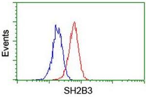 Image no. 2 for anti-SH2B Adaptor Protein 3 (SH2B3) antibody (ABIN1500910) (SH2B3 抗体)