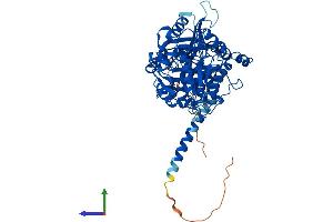 AlphaFold protein structure predicition of Human Recombinant MTM1 Protein, UniprotID Q13496