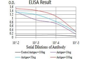 Black line: Control Antigen (100 ng),Purple line: Antigen (10 ng), Blue line: Antigen (50 ng), Red line:Antigen (100 ng) (MITF 抗体  (AA 1-114))