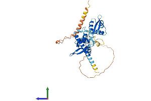 Protein Structure (PS) image for Melanoma Antigen Family B, 10 (MAGEB10) (AA 1-347) protein (His tag) (ABIN7549226)