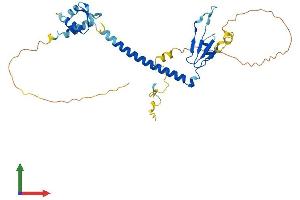 AlphaFold protein structure predicition of Mouse Recombinant E2f5 Protein, UniprotID Q61502