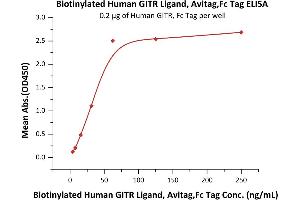 Immobilized Human GITR, Fc Tag (ABIN5954929,ABIN6253604) at 2 μg/mL (100 μL/well) can bind Biotinylated Human GITR Ligand, Avitag,Fc Tag (ABIN5954942,ABIN6253603) with a linear range of 4-63 ng/mL (QC tested). (TNFSF18 Protein (AA 50-177) (AVI tag,Fc Tag,Biotin))