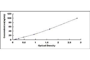 Typical standard curve (MMP 9 ELISA 试剂盒)