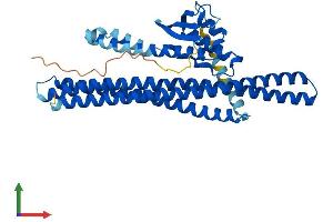 Protein Structure (PS) image for Sorting Nexin 6 (SNX6) (AA 1-406) protein (His tag) (ABIN7555596)