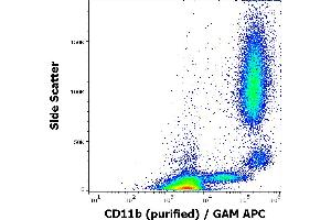 Flow cytometry surface staining pattern of human peripheral whole blood stained using anti-human CD11b (MEM-174) purified antibody (concentration in sample 0,3 μg/mL, GAM APC). (CD11b 抗体)