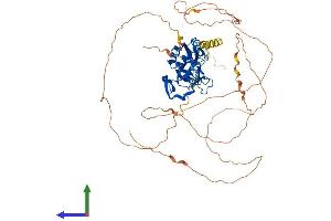 Protein Structure (PS) image for T-Box 15 (TBX15) (AA 1-602) protein (His tag) (ABIN7562533)