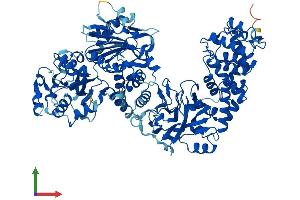 AlphaFold protein structure predicition of Mouse Recombinant Tcaf3 Protein, UniprotID Q6QR59