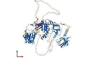 Protein Structure (PS) image for Discs, Large Homolog 3 (DLG3) (AA 1-817) protein (His tag) (ABIN7547136)