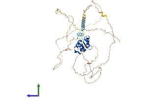 Protein Structure (PS) image for Ets Variant 4 (ETV4) (AA 1-484) protein (His tag) (ABIN7547373)