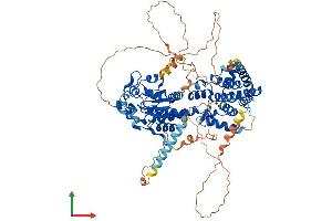 Protein Structure (PS) image for Protein Tyrosine Phosphatase Domain Containing 1 (PTPDC1) (AA 1-754) protein (His tag) (ABIN7551110)