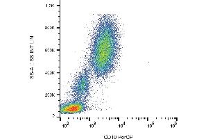 Flow cytometry analysis (surface staining) of human peripheral blood with anti-human CD10 (MEM-78) PerCP. (MME 抗体  (PerCP))