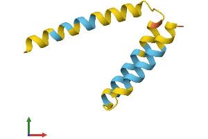 AlphaFold protein structure predicition of Human Recombinant SMIM10L2A Protein, UniprotID P0DMW4