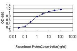 Detection limit for recombinant GST tagged CSF1R is approximately 0. (CSF1R 抗体  (AA 21-120))