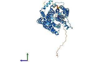 Protein Structure (PS) image for Solute Carrier Family 33 Member 1 (SLC33A1) (AA 1-550) protein (His tag) (ABIN7560296)