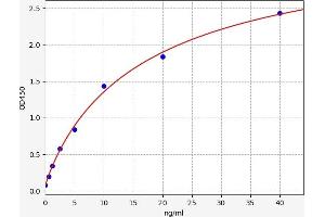 EPH Receptor B2 ELISA 试剂盒