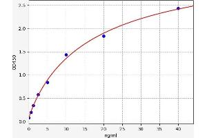 Typical standard curve (EPH Receptor B2 ELISA 试剂盒)