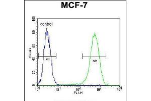 Flow cytometric analysis of MCF-7 cells (right histogram) compared to a negative control cell (left histogram). (NUDT8 抗体  (N-Term))