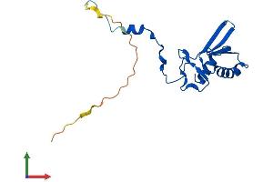 Protein Structure (PS) image for Mitochondrial Ribosomal Protein L49 (MRPL49) (AA 1-166) protein (His tag) (ABIN7551457)