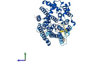 Protein Structure (PS) image for Asparagine-Linked Glycosylation 8, alpha-1,3-Glucosyltransferase Homolog (ALG8) (AA 1-526) protein (His tag) (ABIN7558011)