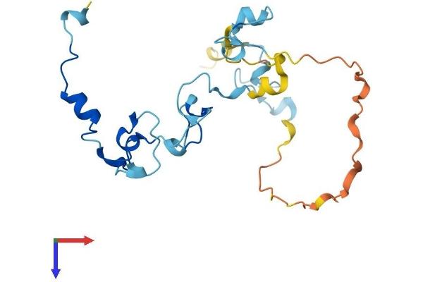 CPSF4 Protein (AA 1-211) (His tag)