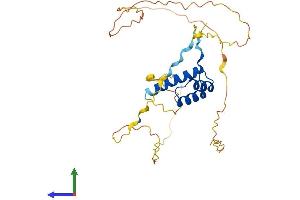 Protein Structure (PS) image for Distal-Less Homeobox 3 (DLX3) (AA 1-287) protein (His tag) (ABIN7547077)