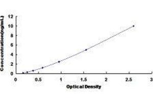 ELISA image for Calcium Channel, Voltage-Dependent, N Type, alpha 1B Subunit (CACNA1B) ELISA Kit (ABIN428235)