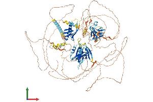 AlphaFold protein structure predicition of Mouse Recombinant Pard3b Protein, UniprotID Q9CSB4
