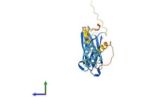 AlphaFold protein structure predicition of Human Recombinant MOSPD1 Protein, UniprotID Q9UJG1
