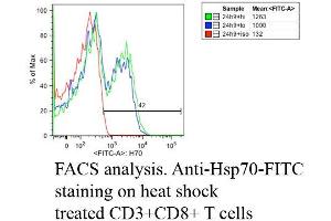 Fluorescence Activated Cell Sorting analysis using Mouse Anti-Hsp70: FITC Monoclonal Antibody, Clone C92 . (HSP70 抗体  (Biotin))