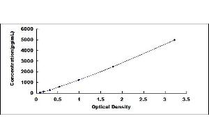 Typical standard curve (LCE1A ELISA 试剂盒)