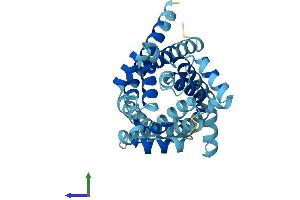 Protein Structure (PS) image for Solute Carrier Family 25 (Mitochondrial Carrier, Ornithine Transporter) Member 15 (SLC25A15) (AA 1-301) protein (His tag) (ABIN7550476)