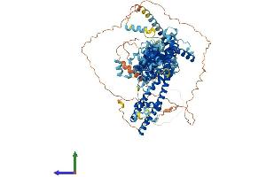 Protein Structure (PS) image for Transient Receptor Potential Cation Channel, Subfamily C, Member 5 (TRPC5) (AA 1-973) protein (His tag) (ABIN7555866)