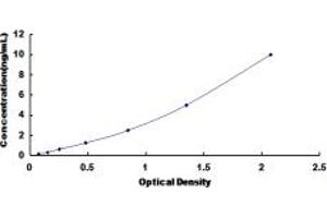 Typical standard curve (PSMA1 ELISA 试剂盒)