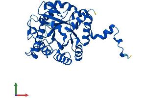 Protein Structure (PS) image for Aminolevulinate Dehydratase (ALAD) (AA 1-330) protein (His tag) (ABIN7562826)