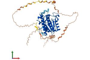Protein Structure (PS) image for Family with Sequence Similarity 113, Member A (FAM113A) (AA 1-454) protein (His tag) (ABIN7550705)
