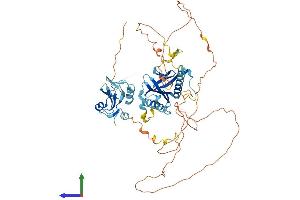 Protein Structure (PS) image for SHC (Src Homology 2 Domain Containing) Transforming Protein 1 (SHC1) (AA 1-583) protein (His tag) (ABIN7555478)