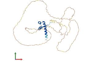 AlphaFold protein structure predicition of Human Recombinant HOXD13 Protein, UniprotID P35453