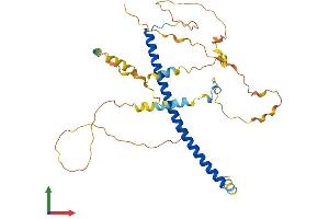 AlphaFold protein structure predicition of Human Recombinant CEBPA Protein, UniprotID P49715