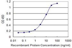 Detection limit for recombinant GST tagged SMO is 0. (SMO 抗体  (AA 653-787))