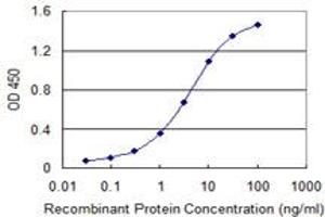 Detection limit for recombinant GST tagged SUOX is 0. (SUOX 抗体  (AA 1-488))