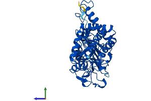 Protein Structure (PS) image for phosphoserine Aminotransferase 1 (PSAT1) (AA 1-370) protein (His tag) (ABIN7545972)