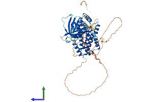 AlphaFold protein structure predicition of Human Recombinant RALGPS1 Protein, UniprotID Q5JS13