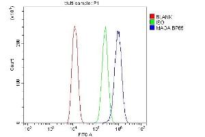 Flow Cytometry analysis of U20S cells using anti-MAOA antibody (ABIN3043872). (Monoamine Oxidase A 抗体  (C-Term))