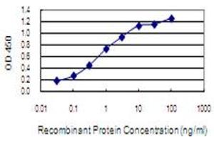 Detection limit for recombinant GST tagged NGEF is 0. (NGEF 抗体  (AA 612-710))