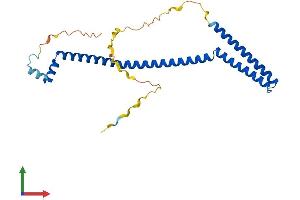 AlphaFold protein structure predicition of Human Recombinant VPS37D Protein, UniprotID Q86XT2