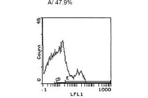 Image no. 1 for anti-CD3 (CD3) antibody (ABIN114137) (CD3 抗体)