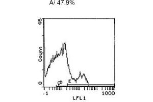 Image no. 1 for anti-CD3 (CD3) antibody (ABIN114137) (CD3 抗体)