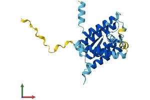 Protein Structure (PS) image for Der1-Like Domain Family, Member 3 (DERL3) (AA 1-228) protein (His tag) (ABIN7561124)