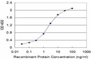 Detection limit for recombinant GST tagged EPOR is approximately 0. (EPOR 抗体  (AA 31-130))