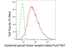 Flow cytometric analysis of epidermal growth factor receptor expression in HepG2 cells using epidermal growth factor receptor antibody (ABIN7798478), 1:2,000). (Recombinant EGFR 抗体)